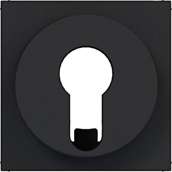 Weißes Schlüsselloch-Symbol in der Mitte einer dunklen kreisförmigen Schaltfläche, was auf Sicherheits- oder Datenschutzzugriff hinweist.