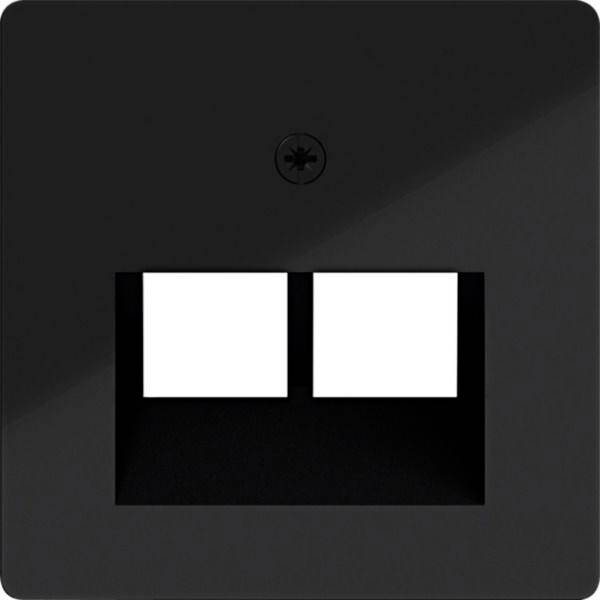 Dunkle Wandplatte mit zwei weißen rechteckigen Wippschaltern nebeneinander und einer Schraube darüber.