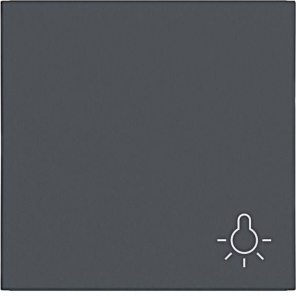 Dunkelgrauer quadratischer Wandschalter mit einem kleinen Glühbirnensymbol in der unteren rechten Ecke, das eine Beleuchtungssteuerungsschaltfläche anzeigt.