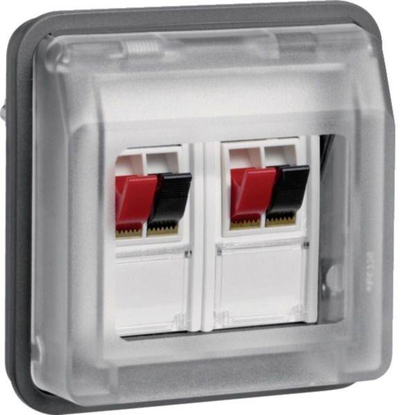 Wetterfeste wandmontierte Doppel-Ethernet-Anschlussdose mit transparenter Schutzabdeckung