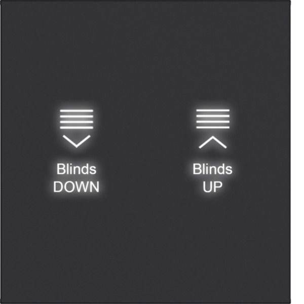 Schwarzes Bedienfeld mit zwei beleuchteten Touch-Tasten mit den Bezeichnungen „Blinds DOWN