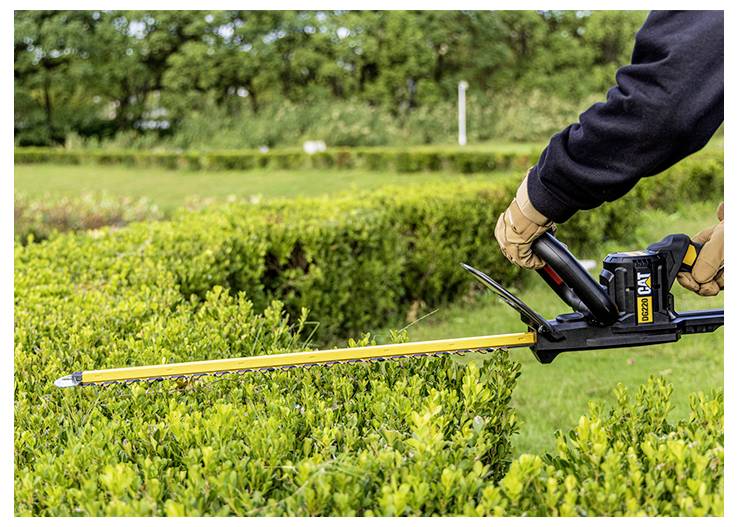 Eine Person benutzt einen elektrischen Heckenschneider, um eine grüne Gartenhecke im Freien zu schneiden und zu formen.