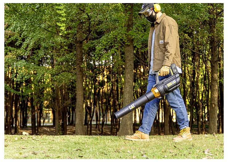 Person in protective gear using a battery-powered leaf blower in a grassy wooded area.Person in Schutzausrüstung, die ein batteriebetriebenes Laubgebläse in einem grasigen Waldgebiet verwendet.