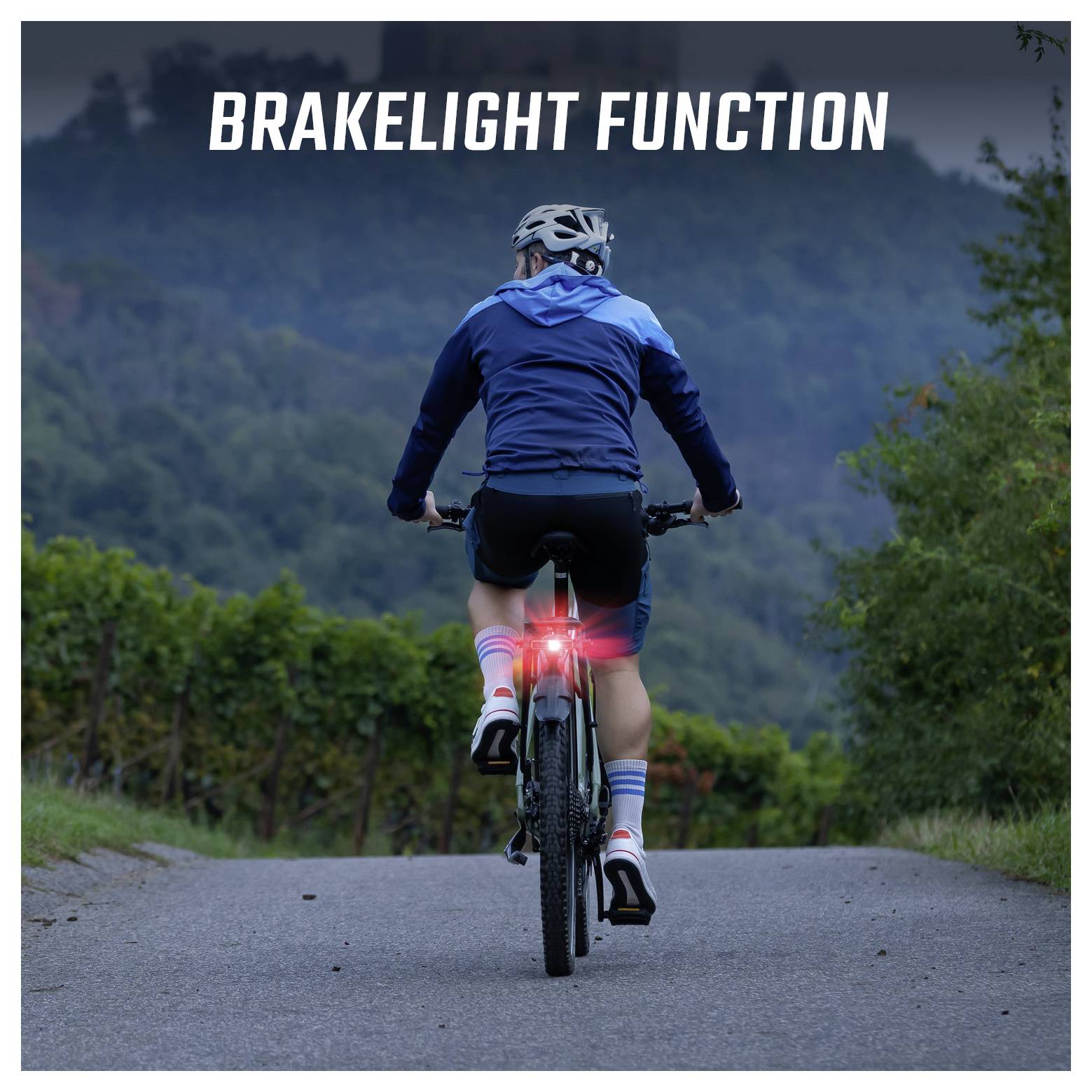 Sigma Fahrrad-Rücklicht EOX RL RACK BRAKE w/fixing material LED über Bordnetz