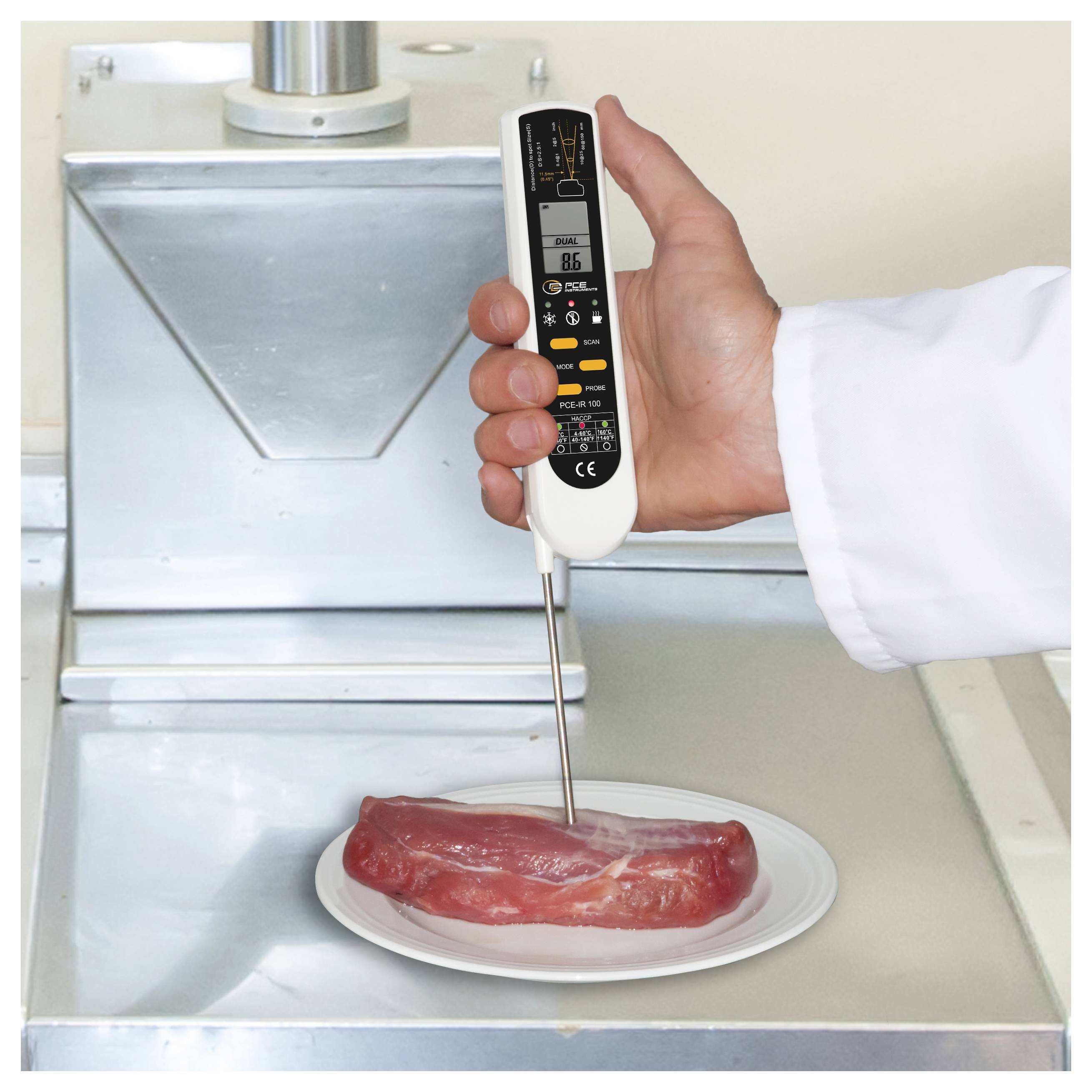 Eine Hand hält ein digitales Thermometer mit Messfühler, das in ein rohes Steak auf einem Teller in einer Edelstahlküche eingeführt ist.