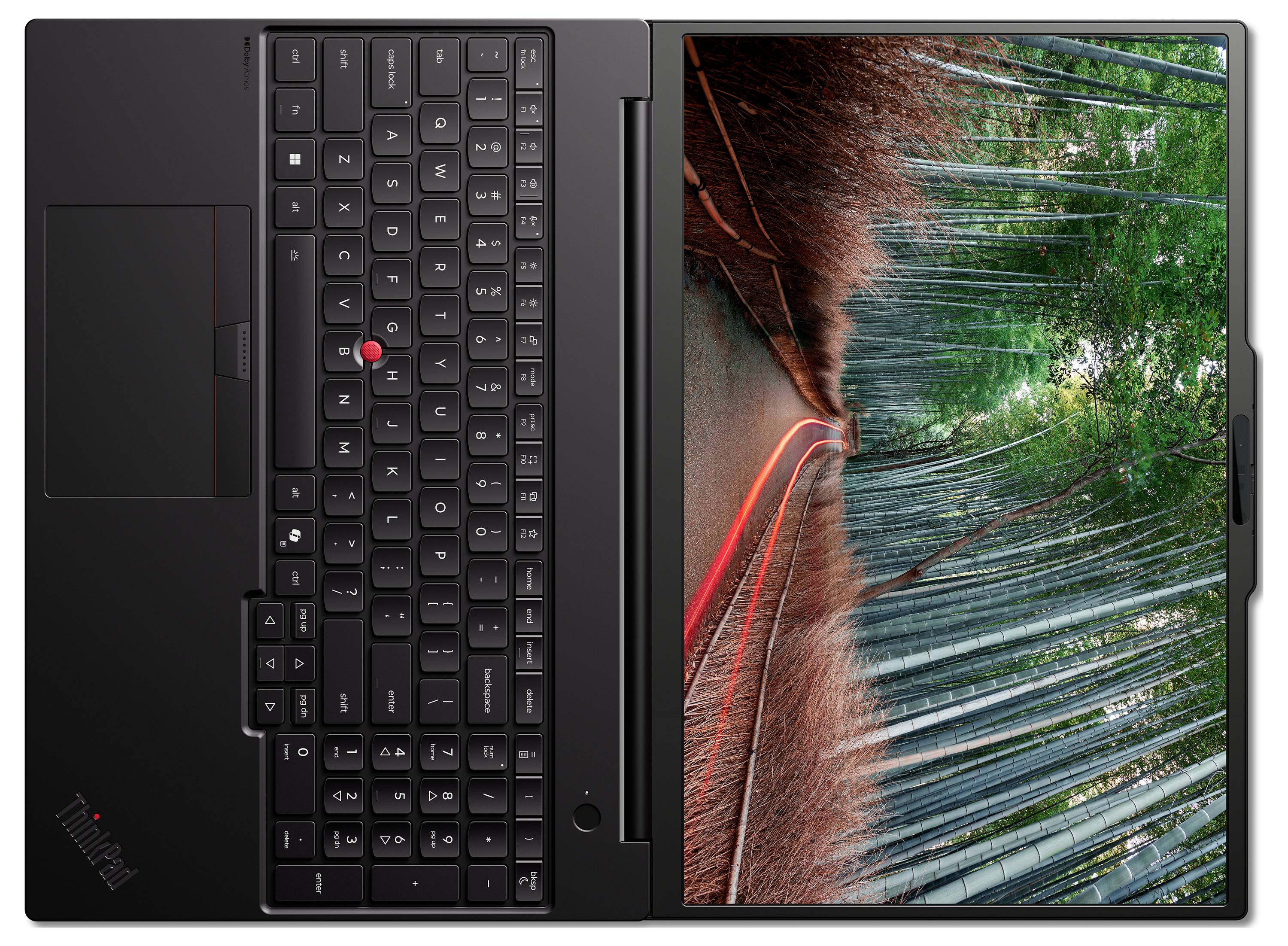 Laptop mit schwarzer Tastatur und Trackpad auf der linken Seite aufgeklappt, auf dem Bildschirm ein Foto eines Bambuswaldes mit roten Lichtspuren angezeigt.
