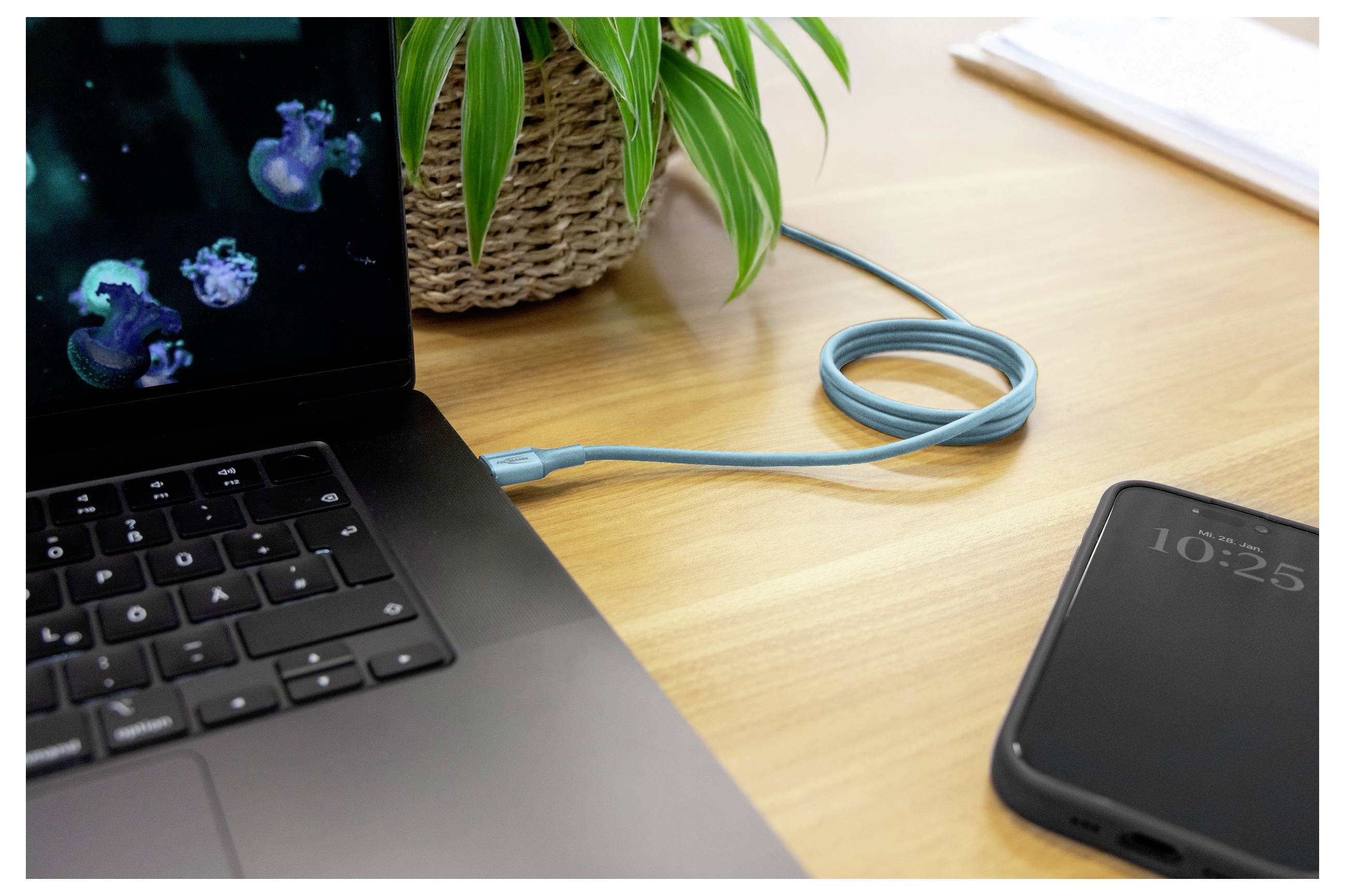 Laptop, verbunden durch ein blaues Ladekabel auf einem Holzschreibtisch, mit einem Smartphone in der Nähe und einer Topfpflanze im Hintergrund.