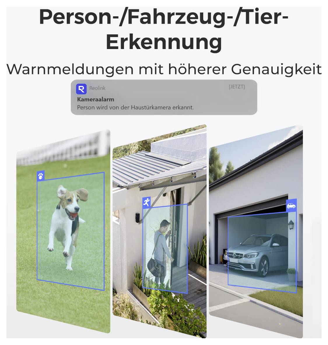 Werbebild zur Person-/Fahrzeug-/Tier-Erkennung mit höherer Genauigkeit; Beispielmeldungen und drei Aufnahmen mit markierten Hund, Person und Auto.