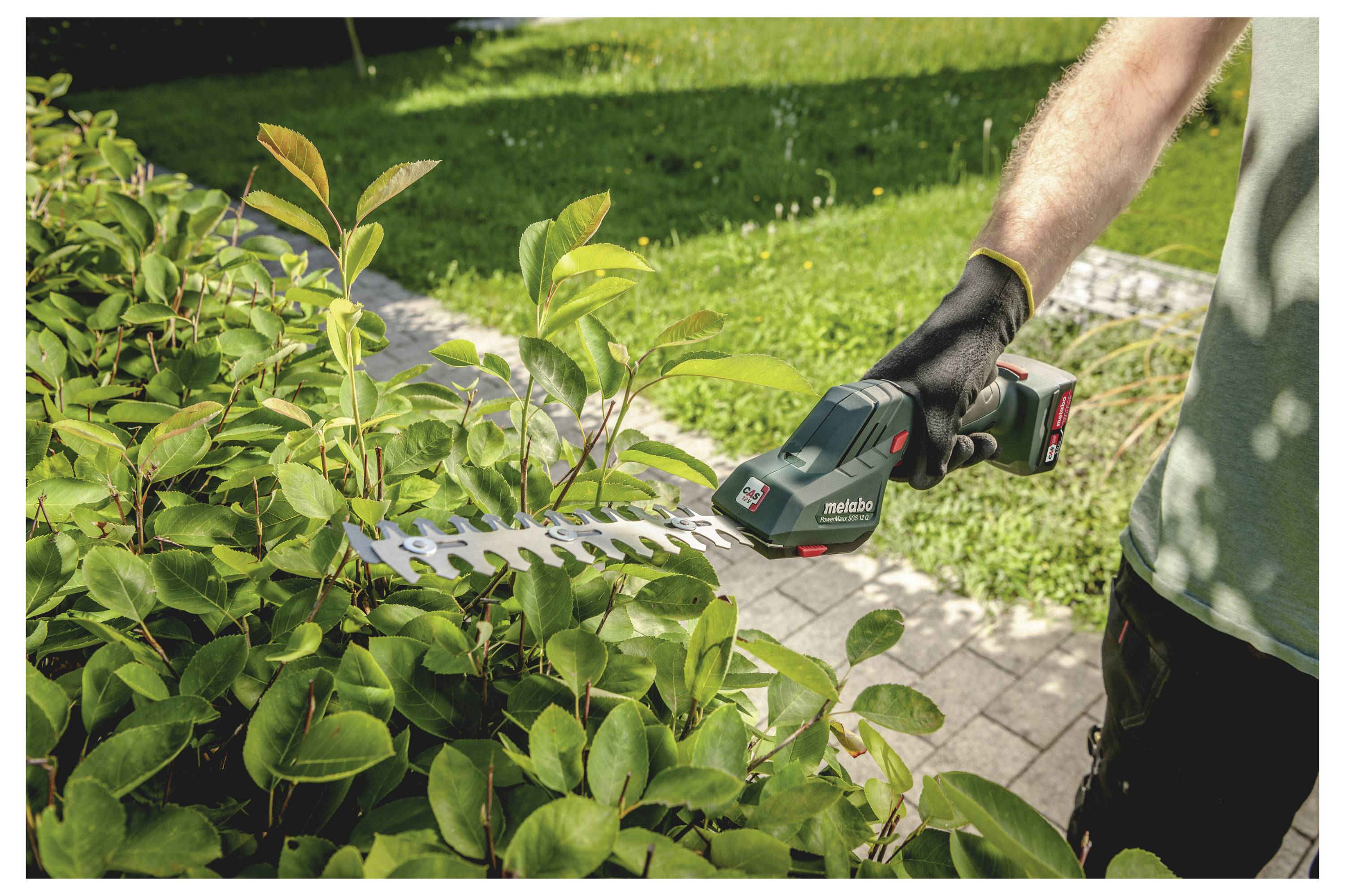 Person, die einen kabellosen Heckenschneider verwendet, um einen belaubten Strauch in einem Garten neben einem gepflasterten Weg zu schneiden.