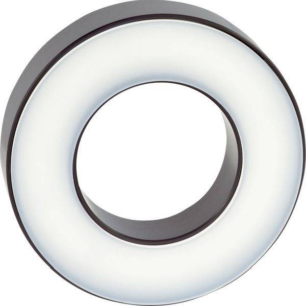 Ein weißer kreisförmiger Ring oder eine Unterlegscheibe mit dunklem inneren und äußeren Rand, dargestellt auf einfachem Hintergrund.