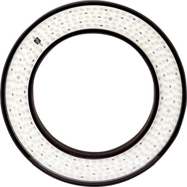 Kreisförmige LED-Ringlampe mit weißen Dioden rund um eine dunkle innere Öffnung, dargestellt auf einem weißen Hintergrund.