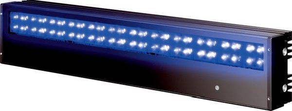 Eine schwarze rechteckige LED-Leuchtenleiste mit zwei Reihen von hellen blauweißen Lichtern, schräg auf weißem Hintergrund dargestellt.