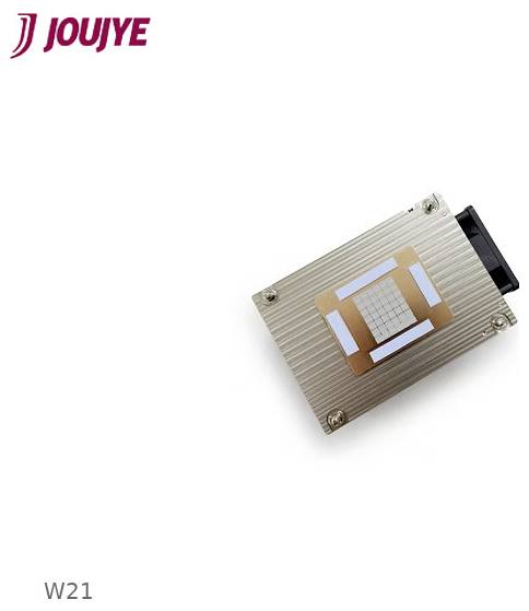 JOUYE W21 Metallelektronikmodul mit freiliegendem zentralem Chip auf weißem Hintergrund