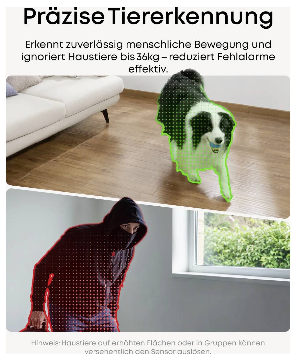 Deutsches Werbegrafik für präzise Tiererkennung: Ein Hund ist grün hervorgehoben als ignoriert, während eine Person mit Kapuze rot hervorgehoben als erkannt ist; der Text besagt, dass es Fehlalarme reduziert und Haustiere bis zu 36 kg ignoriert.