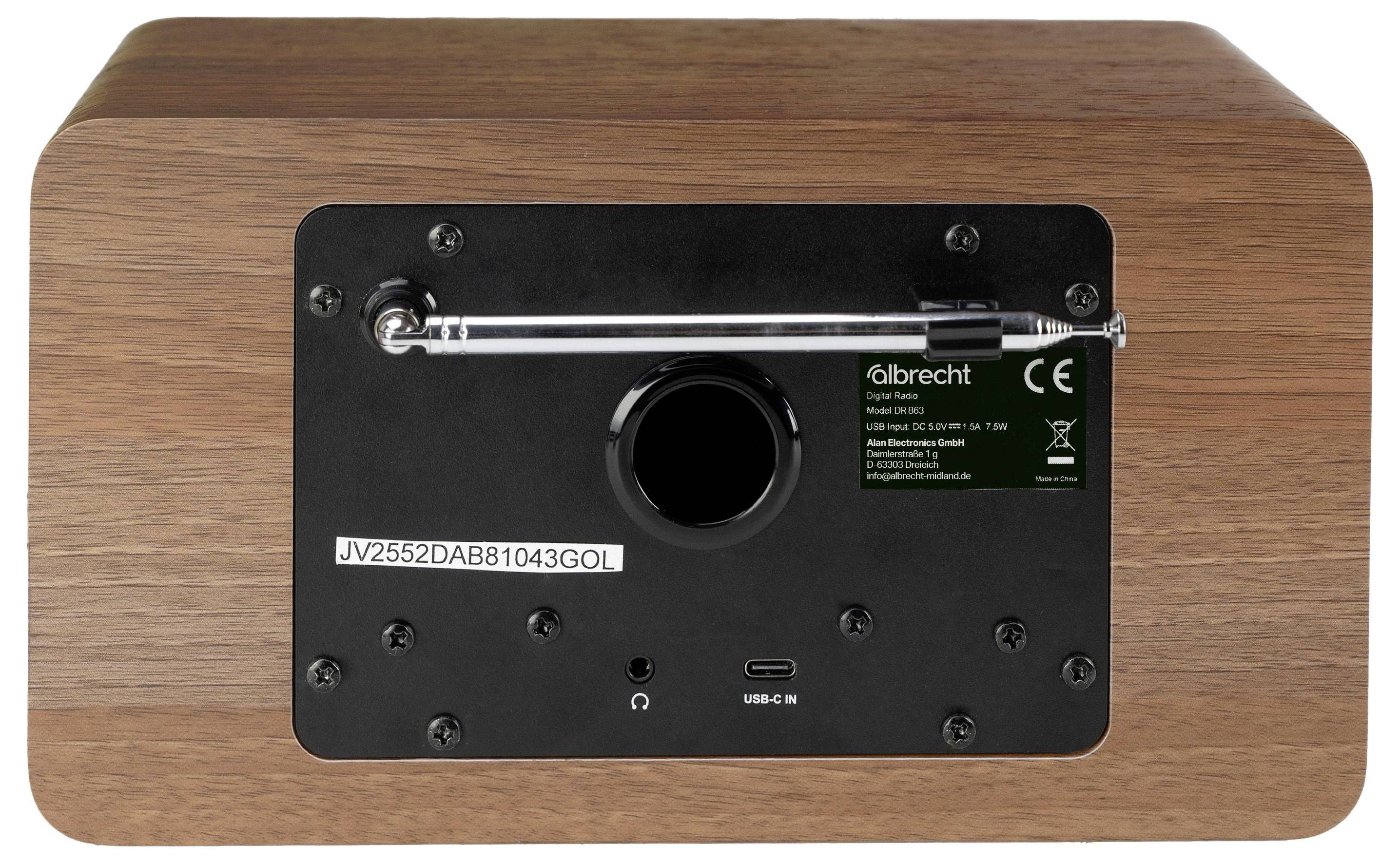 Rückansicht eines Lautsprechers oder Audiogeräts mit Holzmaserung, schwarzem Anschlussfeld, zentralem Anschluss, Etikett sowie USB-C- und Kopfhörer-Buchsen.