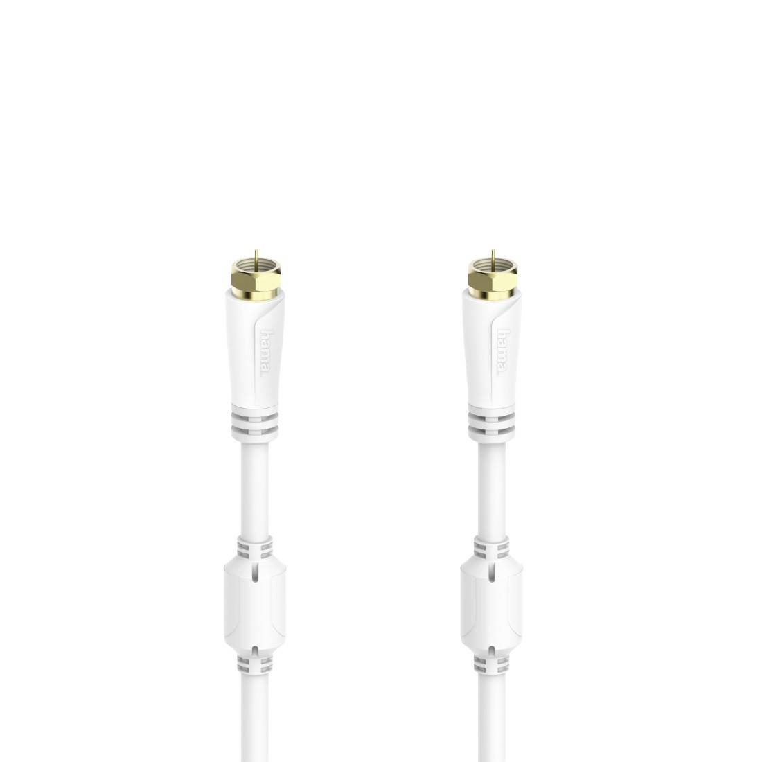 Zwei weiße koaxiale Kabeladapter oder Stecker stehen aufrecht auf einem einfachen weißen Hintergrund.