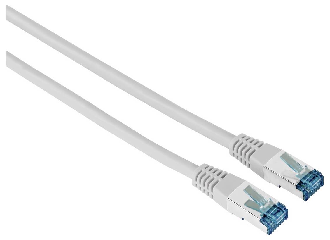 Zwei weiße Ethernet-Netzwerkkabel mit blauen RJ45-Steckern auf einem schlichten Hintergrund.