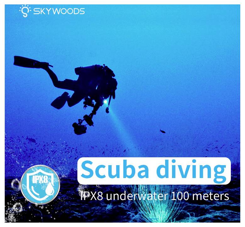 Silhouette eines Tauchanzugs unter Wasser mit Text „Scuba Diving