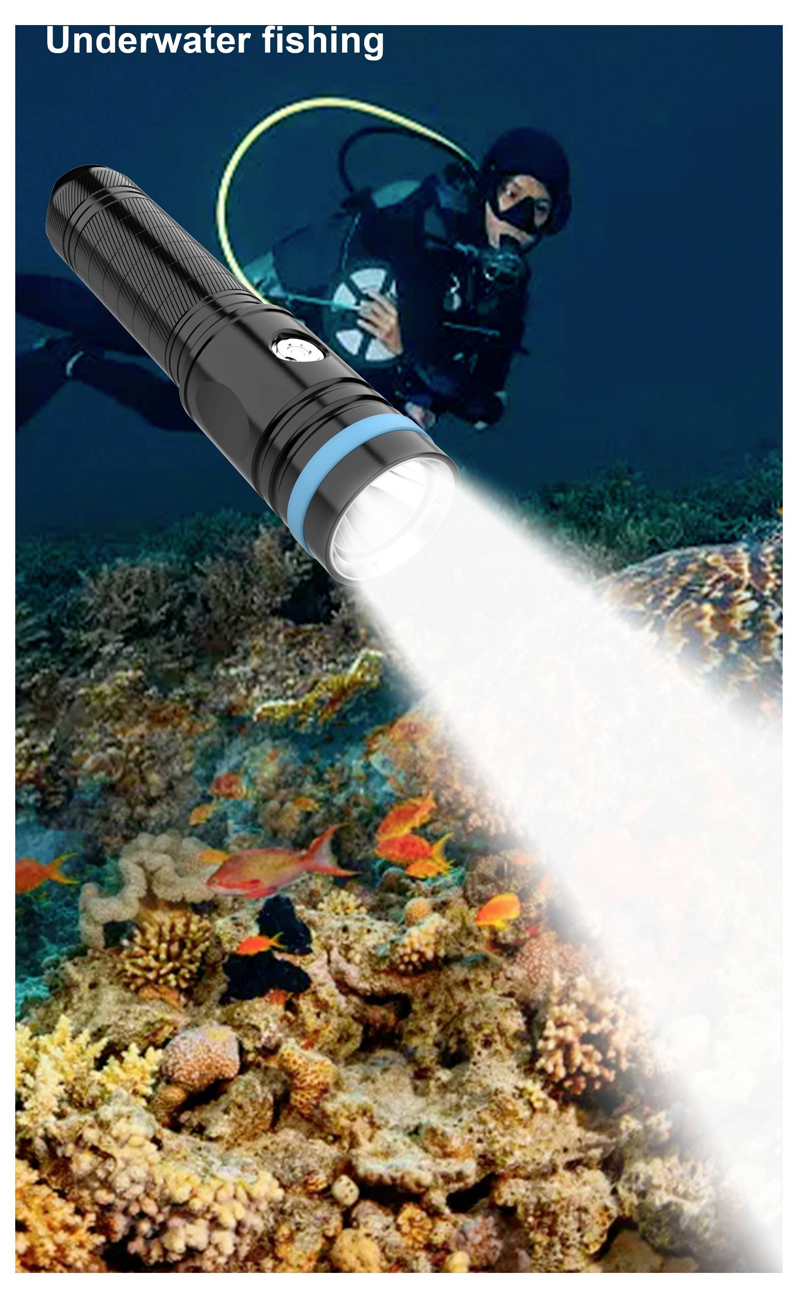 Unterwassertaucher, der eine helle Taschenlampe über ein Korallenriff mit bunten Fischen scheint; Bild mit der Beschriftung „Unterwasserfischerei
