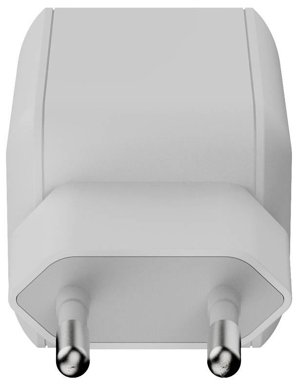 Nahaufnahme eines zweipoligen Elektrostecker-Adapters mit grauem abgerundeten Gehäuse und Metallstiften, von hinten betrachtet.