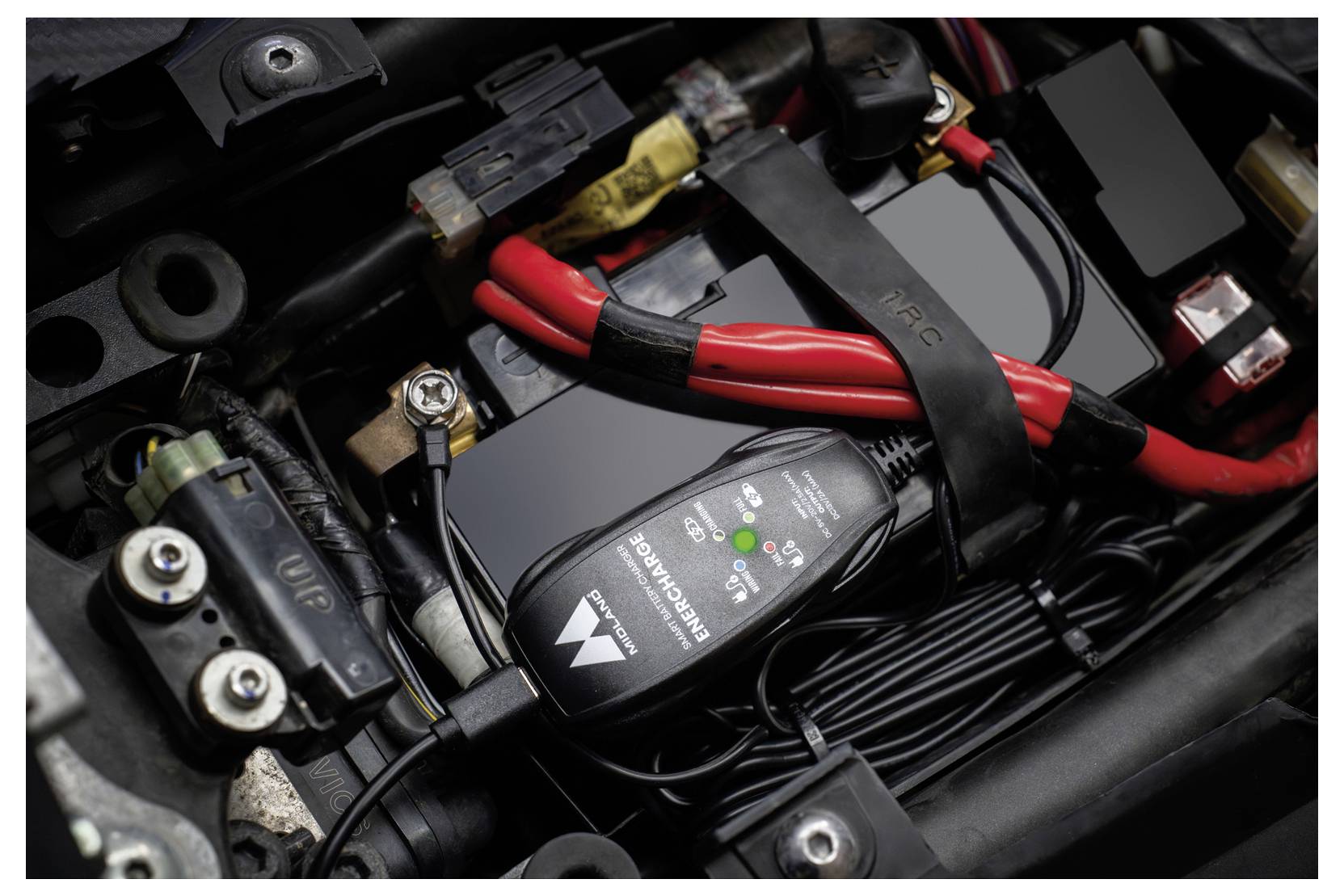 Nahaufnahme eines Batterieladegeräts, das mit roten und schwarzen Kabeln mit einer Autobatterie in einem Motorraum verbunden ist.