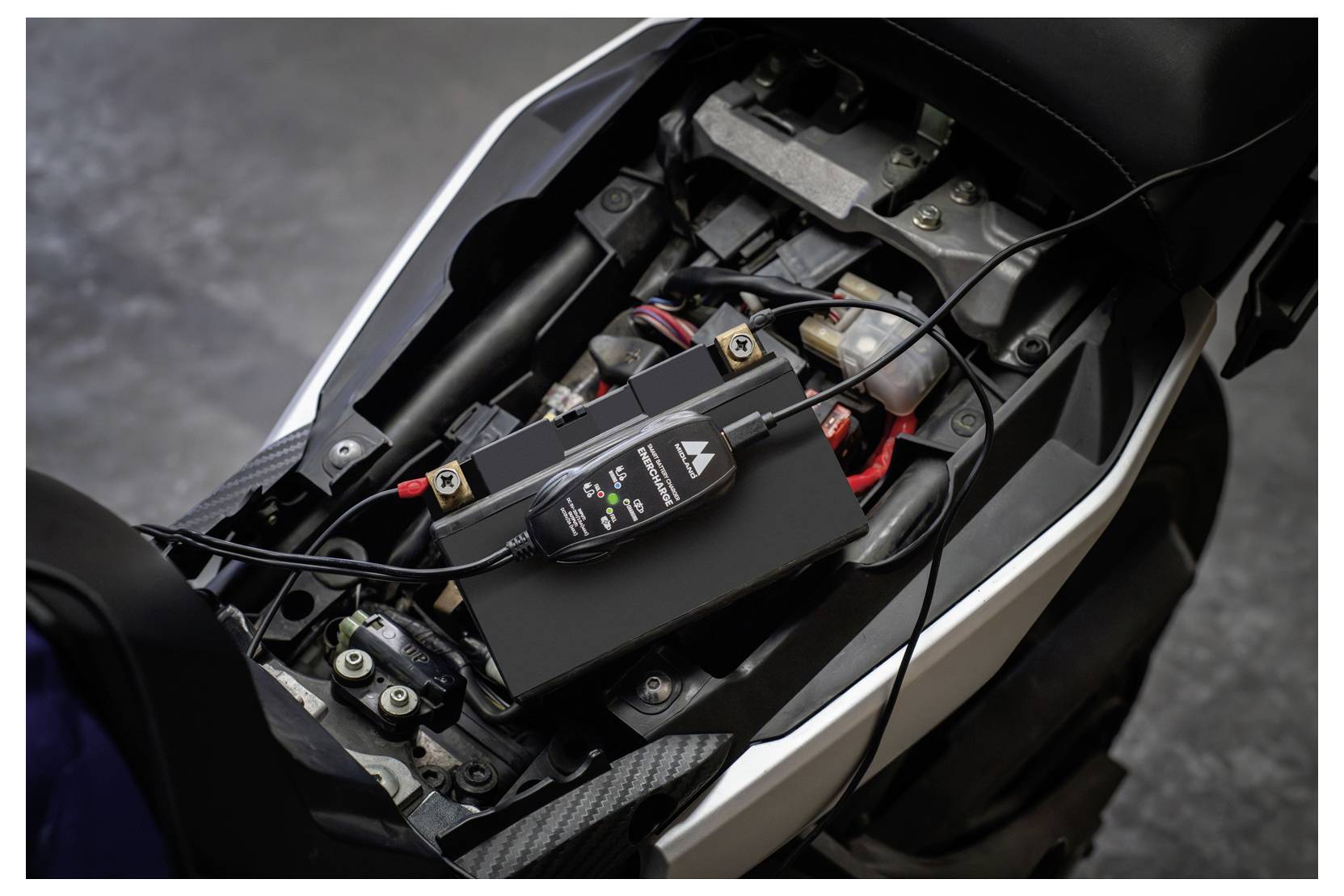 Offenes Motorrad-Sitzkastengehäuse mit einem an die Batterie angeschlossenen Batterieladegerät und Verdrahtung im Inneren.