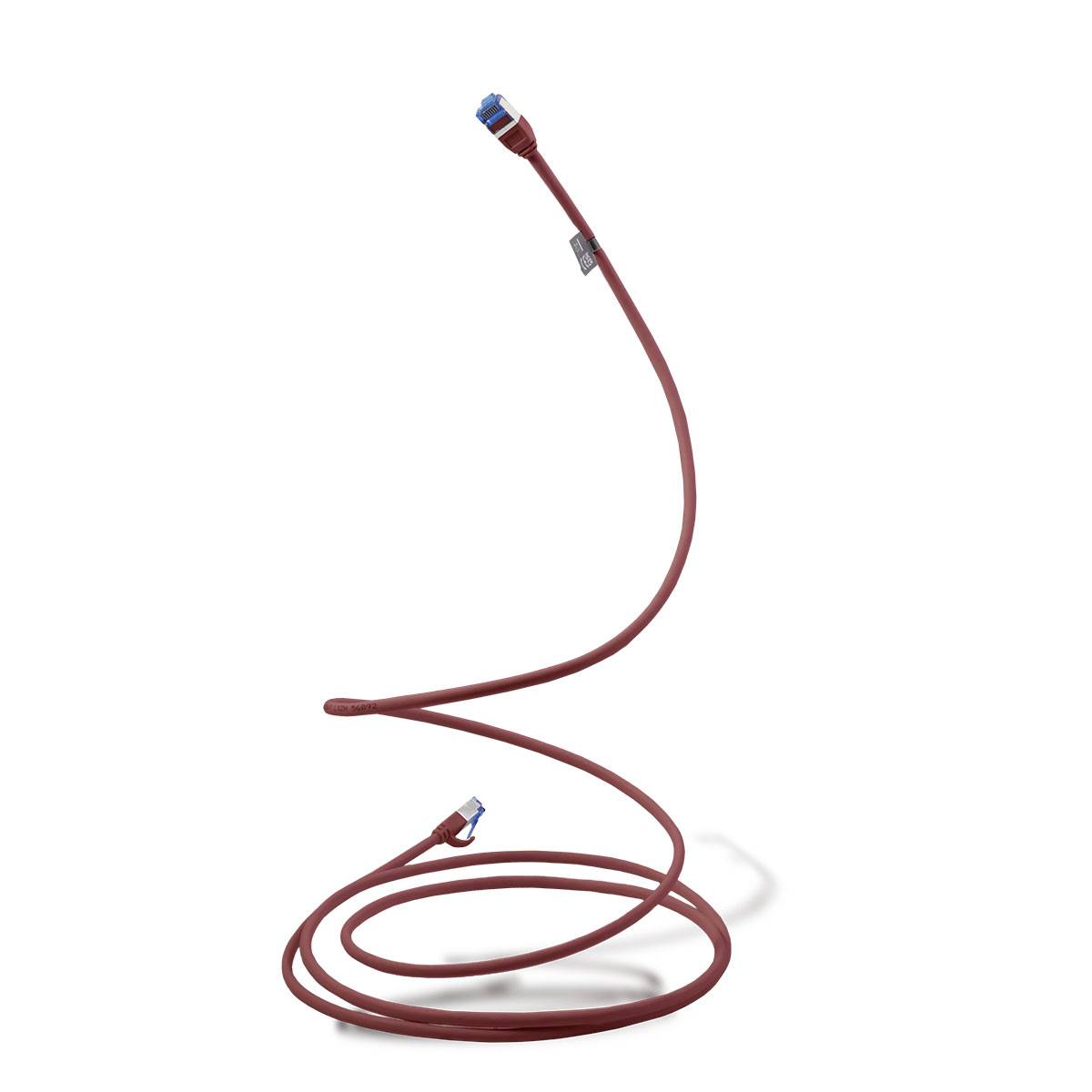 Aufgerolltes rotes Ethernet-Kabel mit RJ45-Steckern auf weißem Hintergrund.