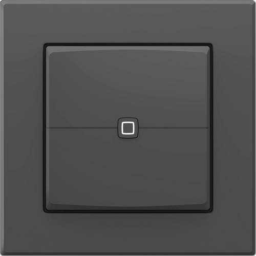 Homematic IP Funk-Wandschalter HmIP-UDI-PB2-A