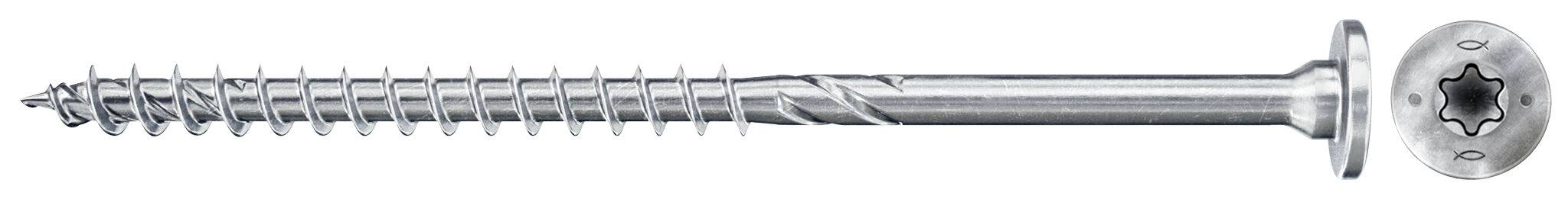 Eine silberfarbene Torx-Schraube mit sechszackigem Antrieb und rundem Unterlegscheibenkopf auf weißem Hintergrund.