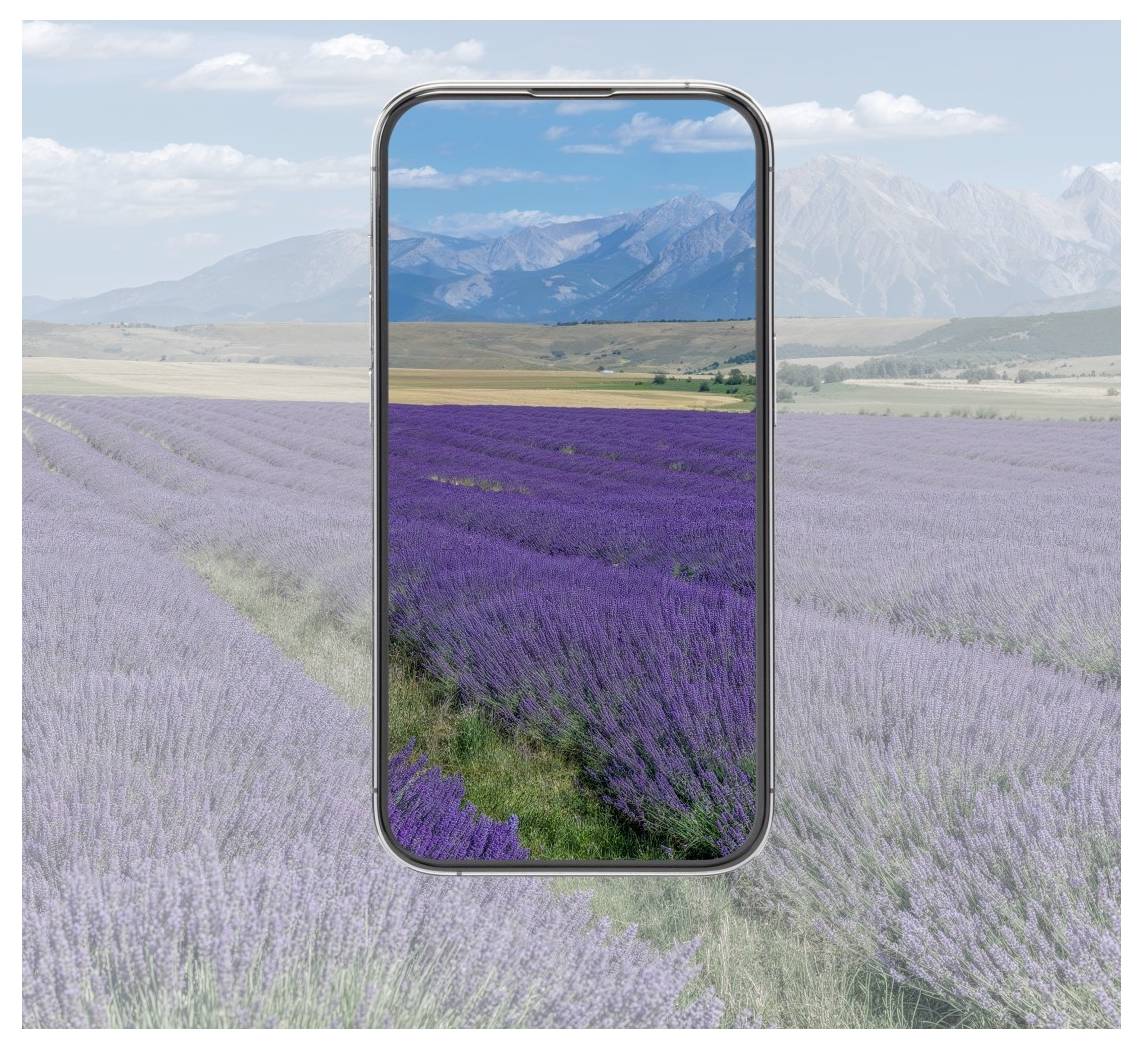 Smartphone zeigt ein lebendiges Lavendelfeld und Berge an, was einen Kontrast zur verblassten Landschaft rundherum bildet.