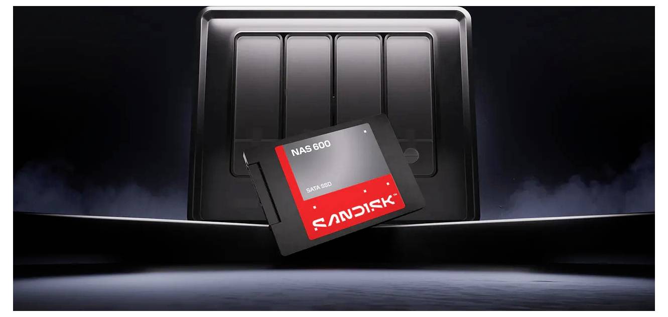 SanDisk 4 TB Interne NAS-Festplatte 6.35 cm (2.5 Zoll) SDSNS2400TAB-000G0