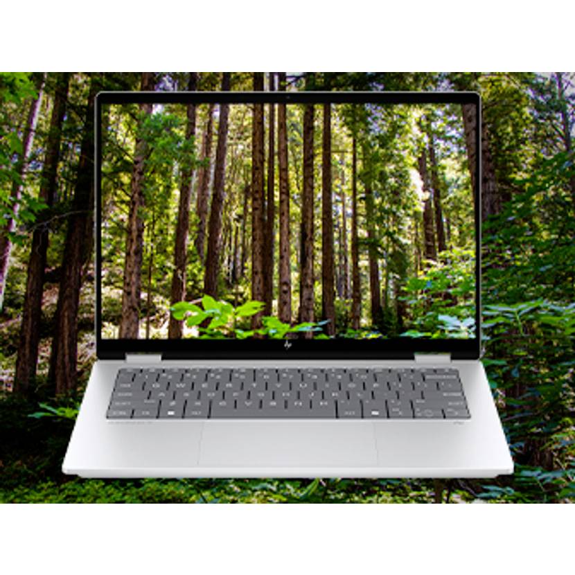Offener Laptop mit Waldszene auf dem Bildschirm, symbolisiert ein naturthemenbezogenes oder umweltfreundliches Konzept.