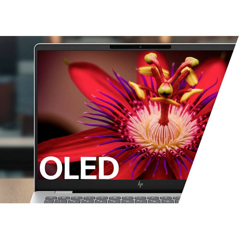 Ein Laptop-Bildschirm zeigt ein lebendiges Nahaufnahmebild einer Blume mit dem Wort „OLED" in großem weißem Text, das die Anzeigetechnologie bewirbt.
