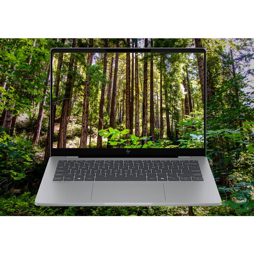 Ein Laptop, auf dem eine Waldszene angezeigt wird, wobei der Computerbildschirm mit dem bewaldeten Hintergrund verschmilzt, um naturgestützte Informatik zu suggerieren.