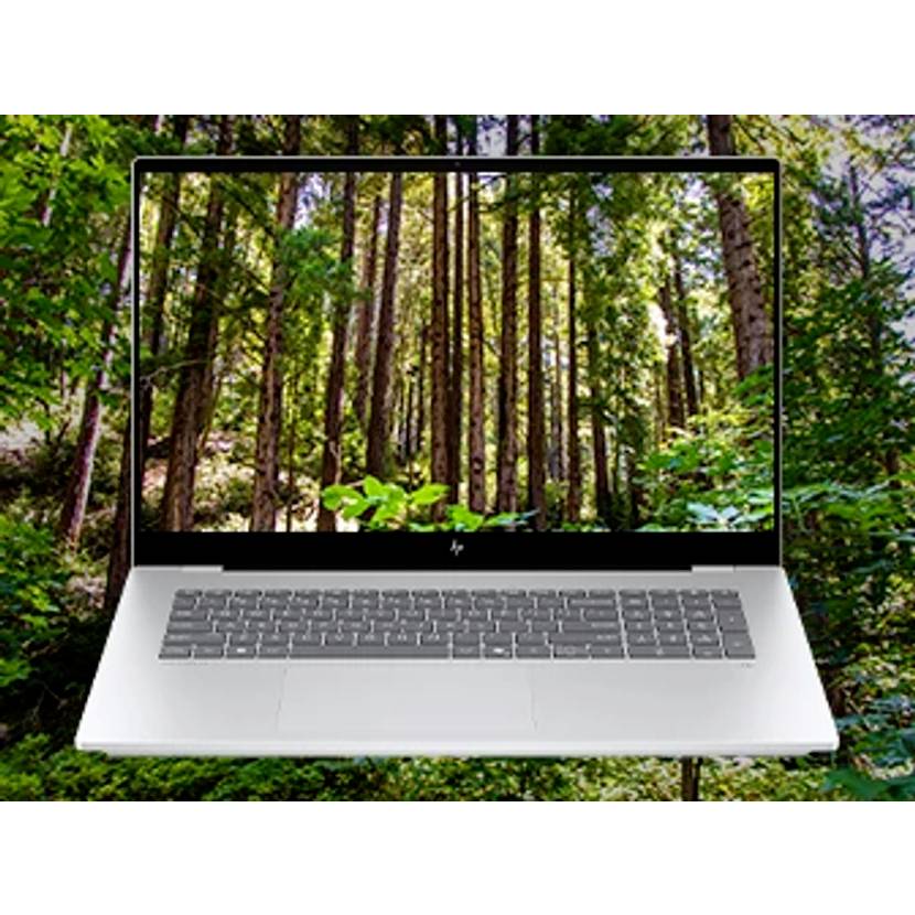 Silberner Laptop mit einer Waldszene auf seinem Bildschirm, vor einem echten bewaldeten Hintergrund positioniert.