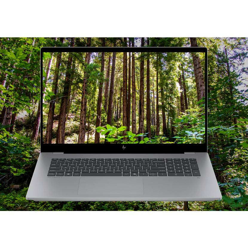Offener Laptop, auf dessen Bildschirm eine Waldszene angezeigt wird, mit Bäumen und Grünflächen, die die Anzeige ausfüllen.