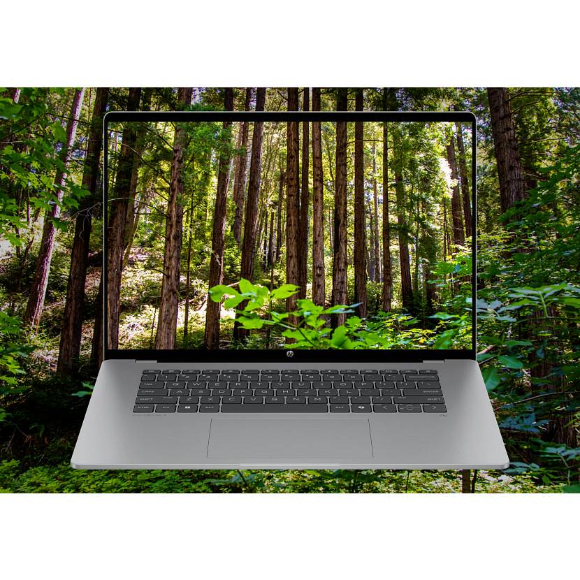 Laptop in einem Wald, mit dem Bildschirm, der Bäume und Grünflächen zeigt, was eine Mischung aus Technologie und Natur andeutet.