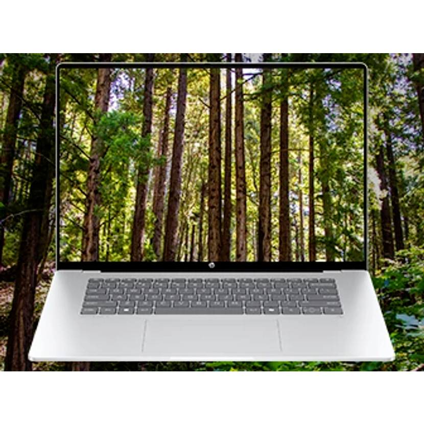Laptop zeigt eine Waldszene an und suggeriert ein Natur- oder Öko-Konzept.