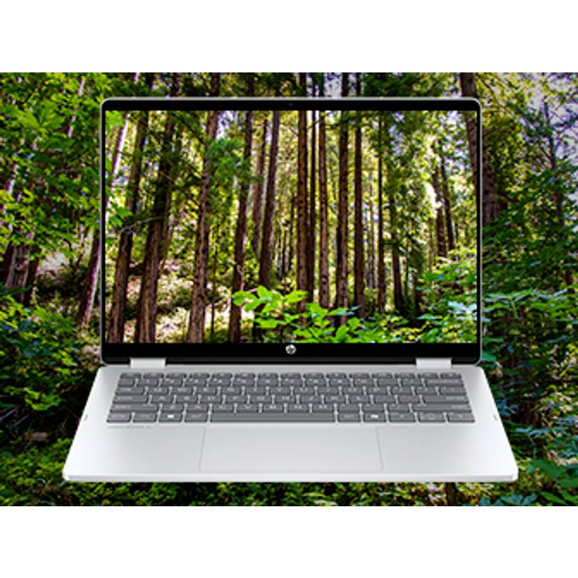 Laptop, auf dem eine Waldszene angezeigt wird, die eine Verbindung zur Natur oder Wildnisimagerie suggeriert.