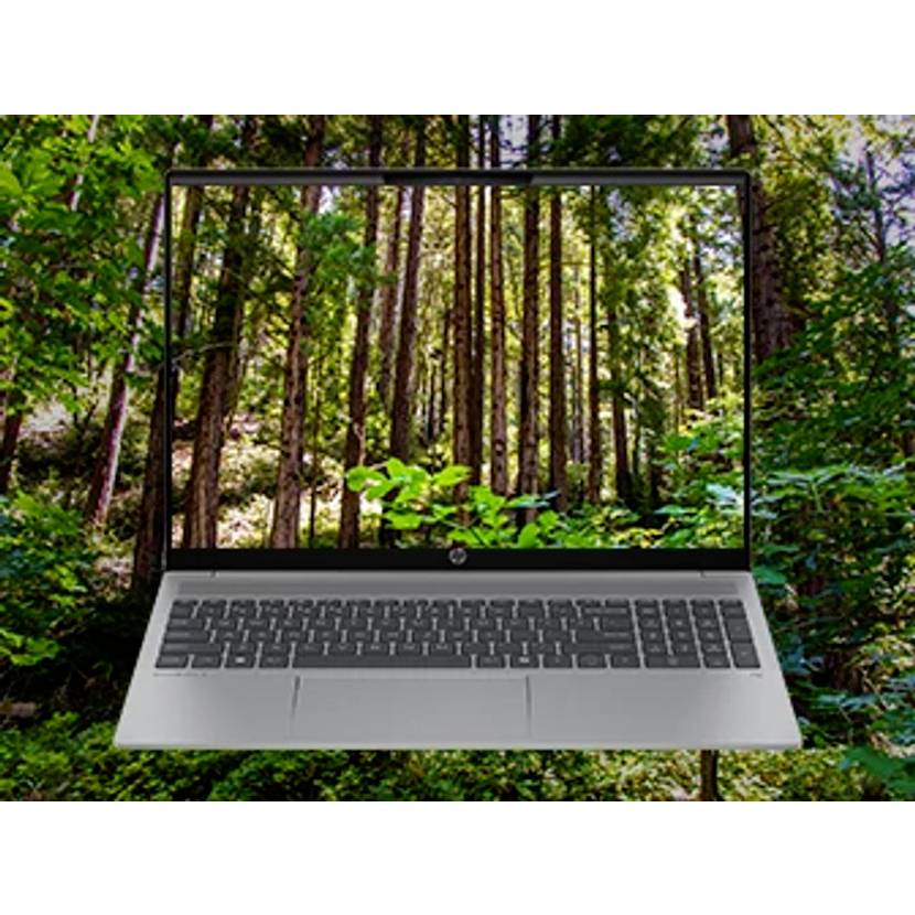 Laptop, das in einem Wald schwebt, Bildschirm zeigt hohe Bäume und grünes Laub, das digitale und natürliche Szenen verschmelzt.