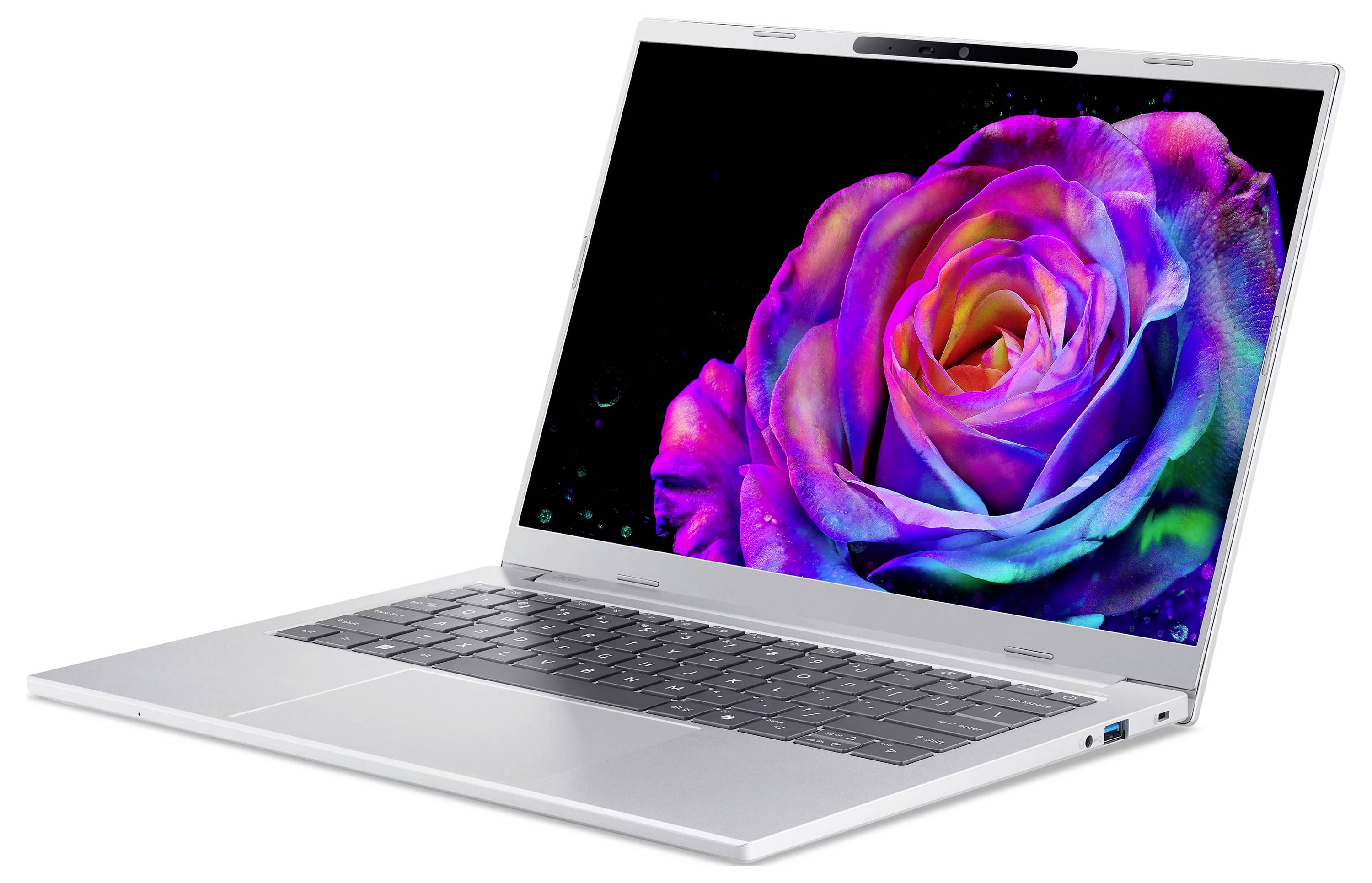 Silberner Laptop im schrägen Winkel offen, zeigt auf dem Bildschirm eine lebendige mehrfarbige Rose.