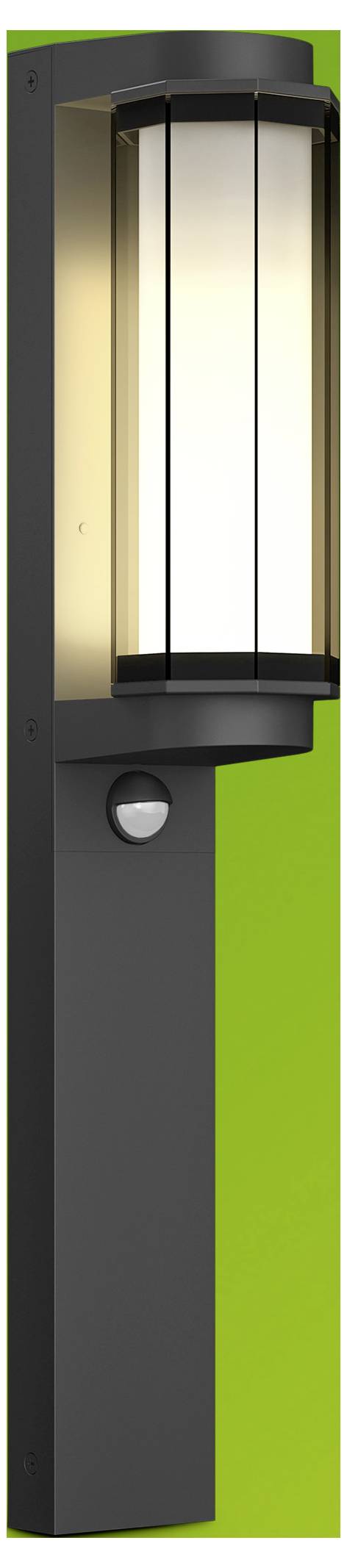 Philips 8721103172662 Avendale Außenstandleuchte