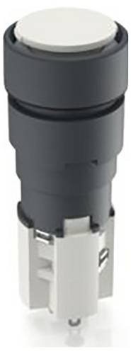 RAFI 1.15.108.977/0000 Drucktaster (L x B) 19 mm x 19 mm 1 St.