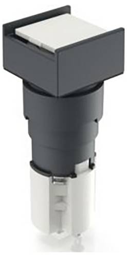 RAFI 1.15.108.377/0000 Drucktaster (L x B) 19 mm x 19 mm 1 St.