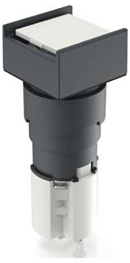 RAFI 1.15.108.377/0000 Drucktaster (L x B) 19mm x 19mm 1St.