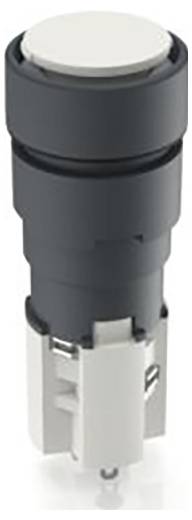 RAFI 1.15.108.476/0000 Drucktaster (L x B) 19mm x 19mm 1St.