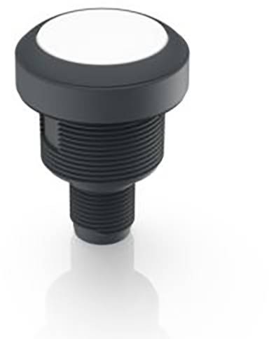 RAFI 1.10.071.201/0221 LED-Taster (L x B x H) 29.8 x 29.8 x 40mm 1St.