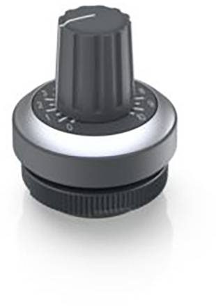RAFI Potentiometer-Antrieb Schiefer-Grau 1St.