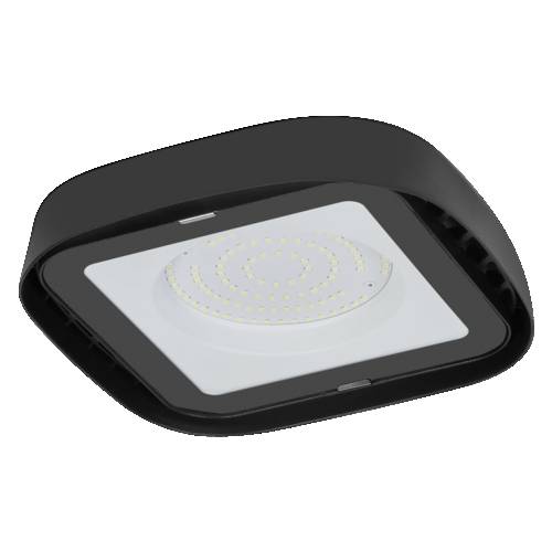 Schwarze quadratische LED-Deckenleuchte mit mattiertem Diffusor und kreisförmiger LED-Anordnung, in Winkelansicht vor weißem Hintergrund dargestellt.