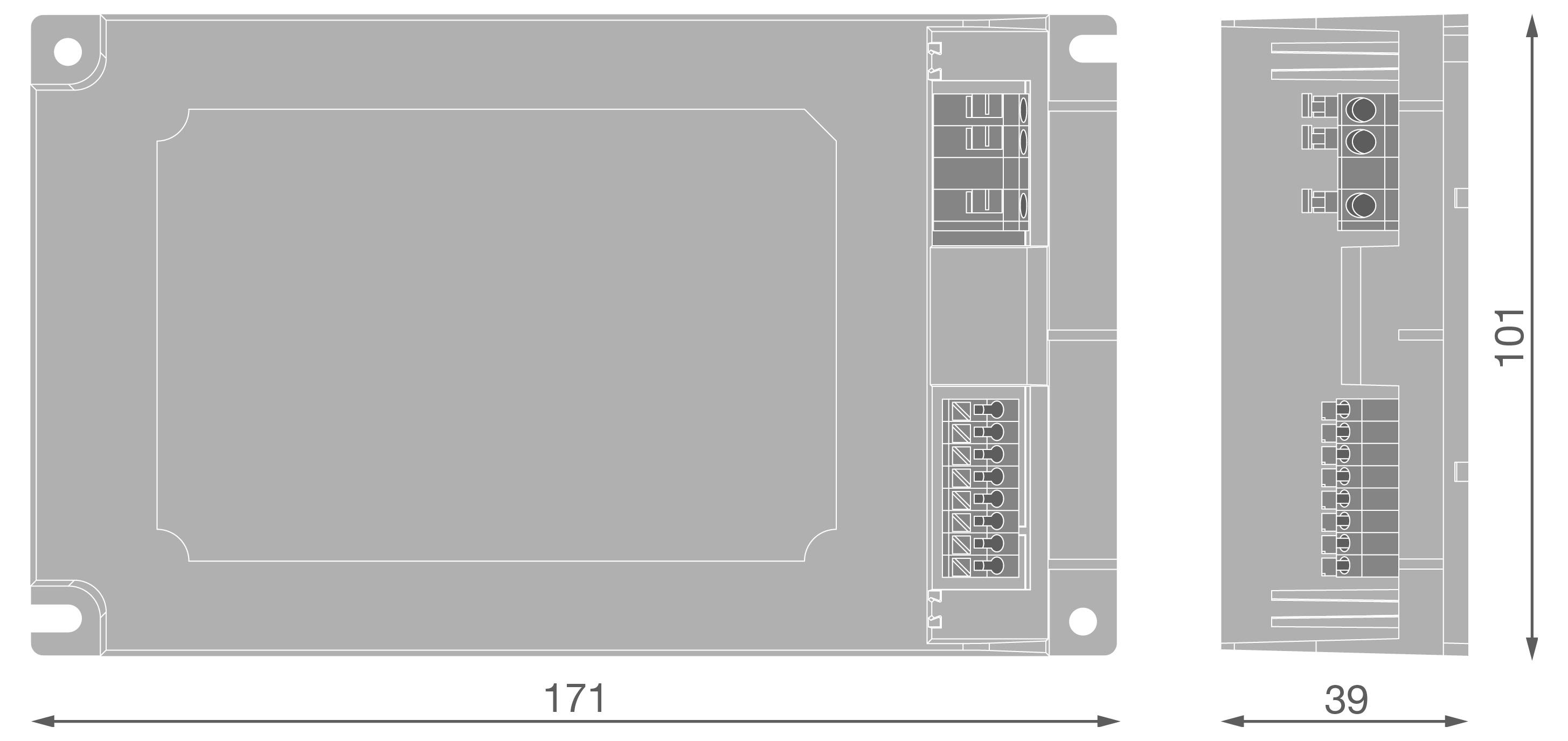Technische Zeichnung eines rechteckigen elektronischen Moduls mit Vorder- und Seitenansicht mit Abmessungen 171 mal 101 und 39, sowie Stecker- und Montagetdetails.